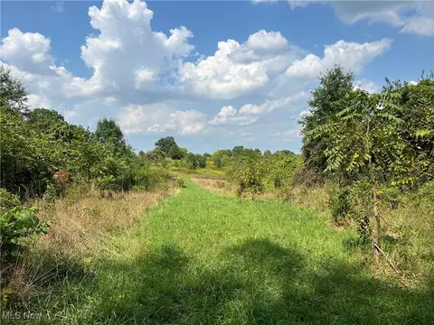 Cates Road, Akron, OH 44312 photo 17