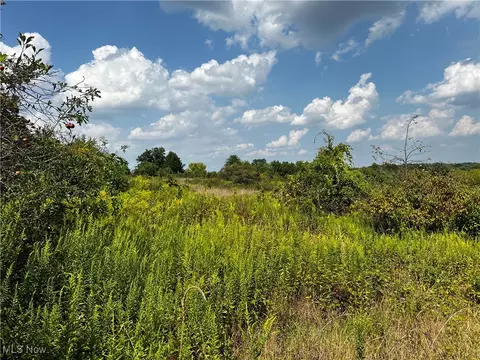 Cates Road, Akron, OH 44312 photo 13