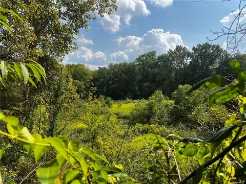 Cates Road, Akron, OH 44312 photo 16
