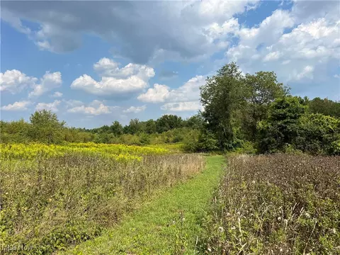 Cates Road, Akron, OH 44312 photo 18
