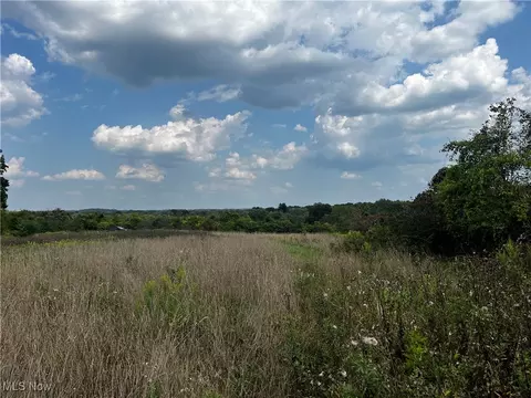 Cates Road, Akron, OH 44312 photo 26