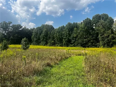 Cates Road, Akron, OH 44312 photo 2