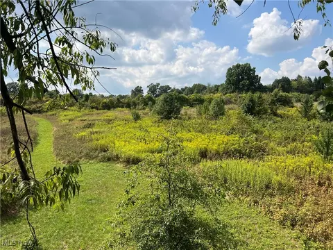 Cates Road, Akron, OH 44312 photo 19