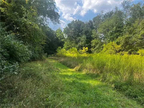 Cates Road, Akron, OH 44312 photo 6