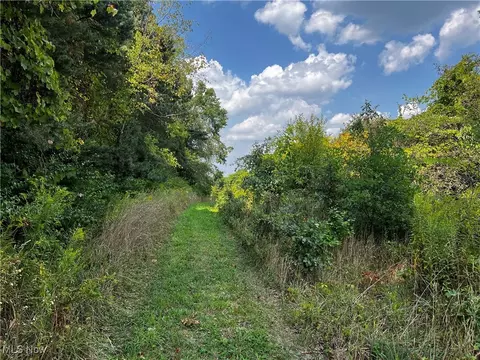 Cates Road, Akron, OH 44312 photo 9