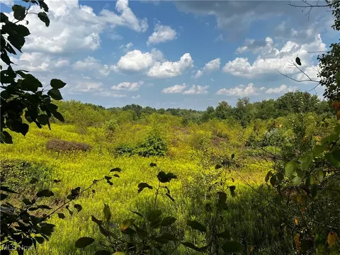 Cates Road, Akron, OH 44312 photo 20