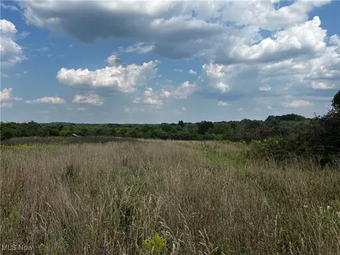 Cates Road, Akron, OH 44312 photo 25