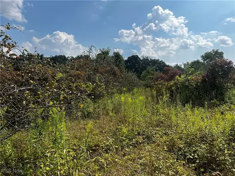 Cates Road, Akron, OH 44312 photo 23