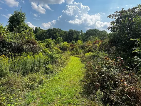 Cates Road, Akron, OH 44312 photo 10
