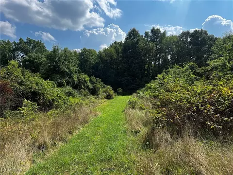 Cates Road, Akron, OH 44312 photo 15