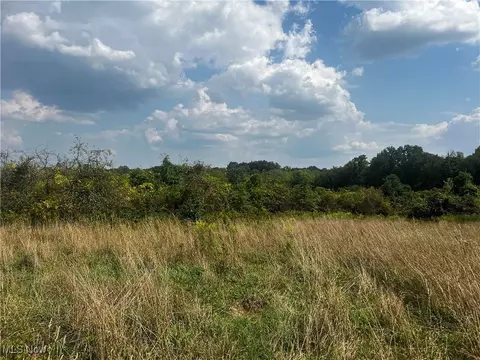 Cates Road, Akron, OH 44312 photo 5
