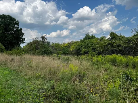 Cates Road, Akron, OH 44312 photo 14