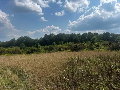 Cates Road, Akron, OH 44312 photo 8