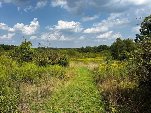 Cates Road, Akron, OH 44312 photo 12