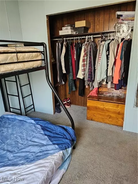 Other - 117 Walleye Ct, Lagrange, OH 44050 photo 12 of 15