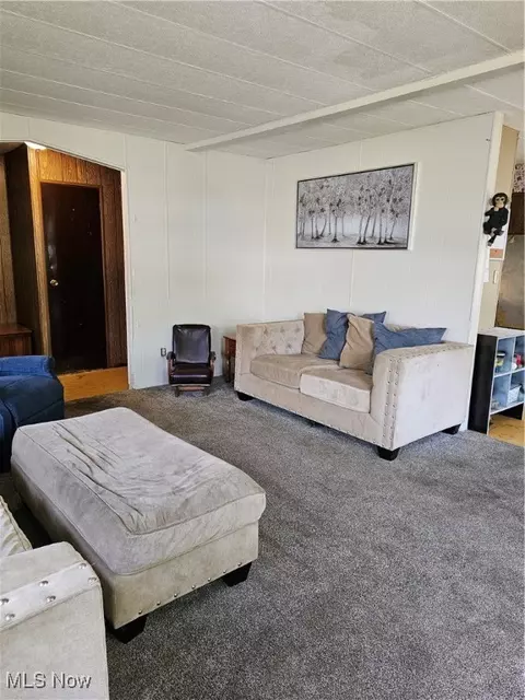 Living - 117 Walleye Ct, Lagrange, OH 44050 photo 2 of 2