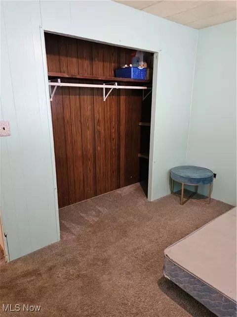 Other - 117 Walleye Ct, Lagrange, OH 44050 photo 10 of 15