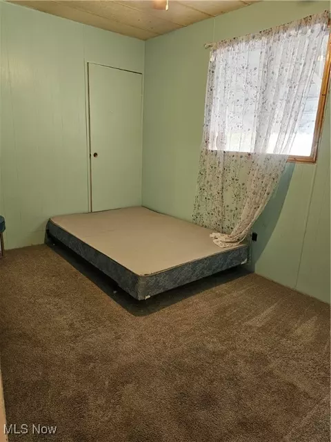Other - 117 Walleye Ct, Lagrange, OH 44050 photo 9 of 15