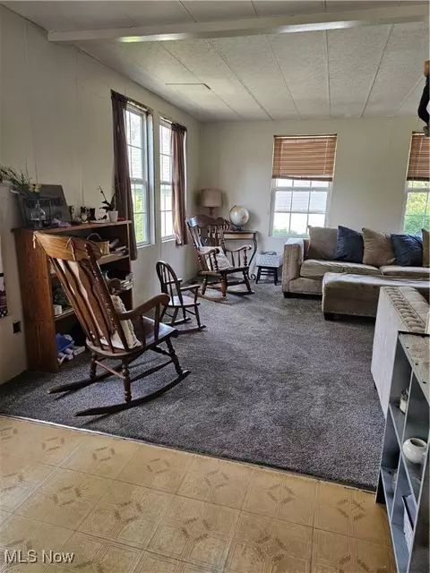 Other - 117 Walleye Ct, Lagrange, OH 44050 photo 7 of 15