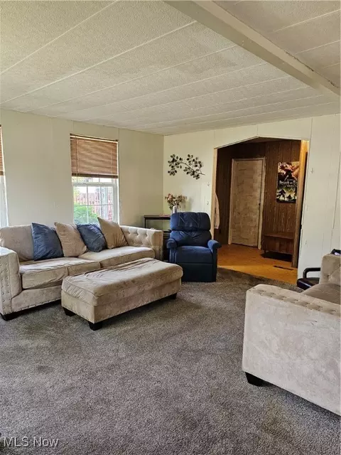 Other - 117 Walleye Ct, Lagrange, OH 44050 photo 6 of 15