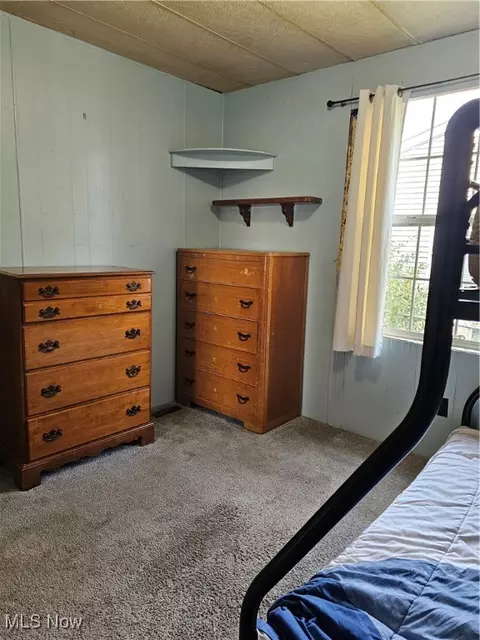 Other - 117 Walleye Ct, Lagrange, OH 44050 photo 13 of 15