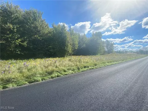 Bates Road, Madison, OH 44057 photo 10