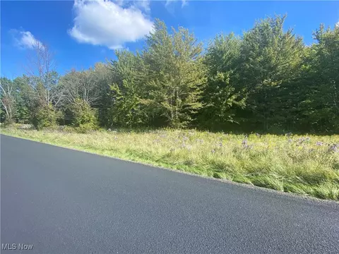 Bates Road, Madison, OH 44057 photo 8