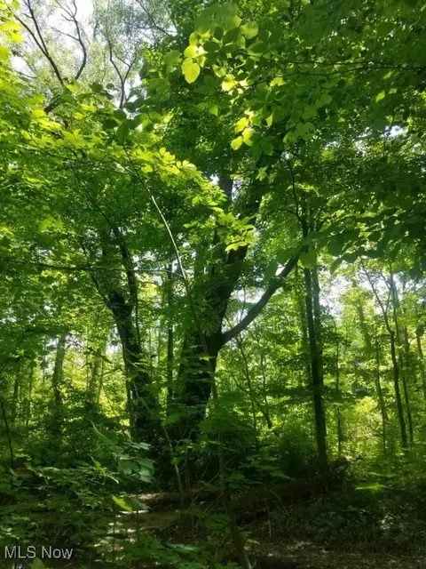 Bates Road, Madison, OH 44057 photo 13