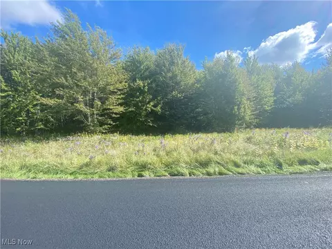Bates Road, Madison, OH 44057 photo 11
