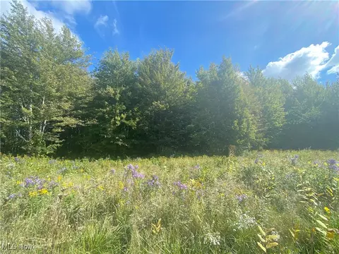 Bates Road, Madison, OH 44057 photo 9