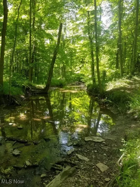Bates Road, Madison, OH 44057 photo 12