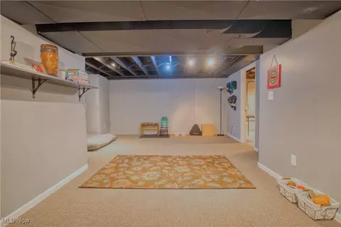 729 Orlo Ln, Boardman, OH 44512 photo 19