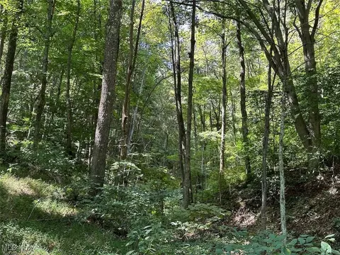Township Road 502, Sardis, OH 43946