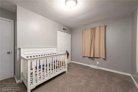 3901 Caferro Ave, Lorain, OH 44055 photo 18