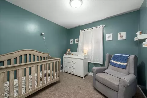 3901 Caferro Ave, Lorain, OH 44055 photo 22