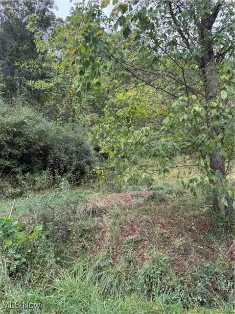 0 Lynn Camp Rd, Elizabeth, WV 26143 photo 4