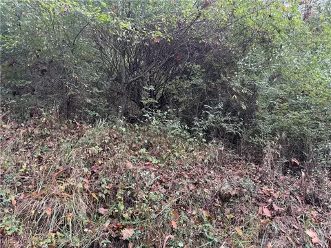 0 Lynn Camp Rd, Elizabeth, WV 26143 photo 2