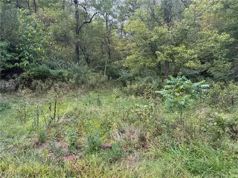 0 Lynn Camp Rd, Elizabeth, WV 26143 photo 6
