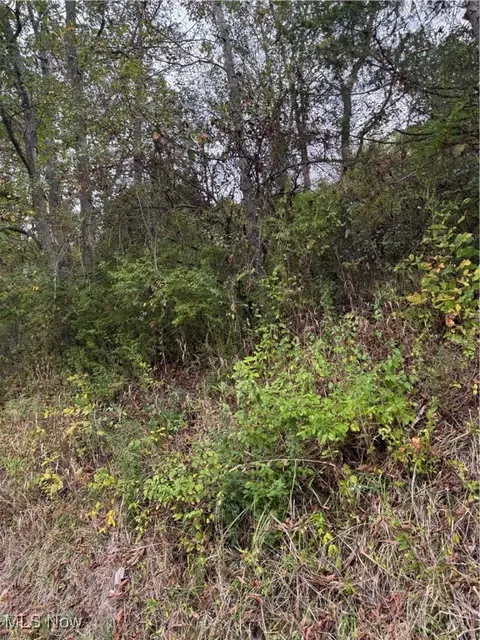 0 Lynn Camp Rd, Elizabeth, WV 26143 photo 5