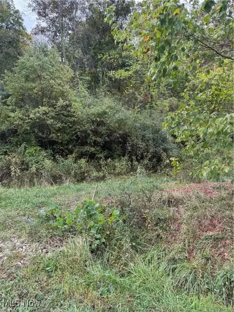 0 Lynn Camp Rd, Elizabeth, WV 26143 photo 3
