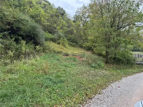 0 Lynn Camp Rd, Elizabeth, WV 26143