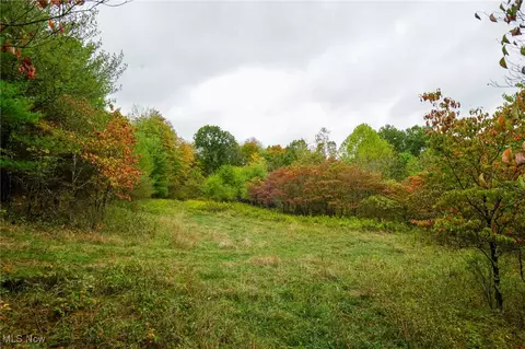 Boy Scout Camp Rd, Caldwell, OH 43724