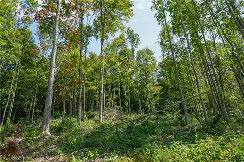 Gallia Blackfork Rd, Oak Hill, OH 45656