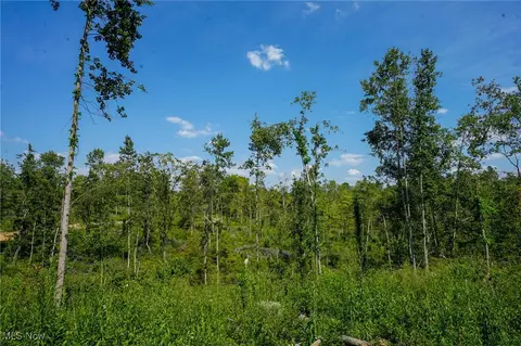 Gallia Blackfork Rd, Oak Hill, OH 45656