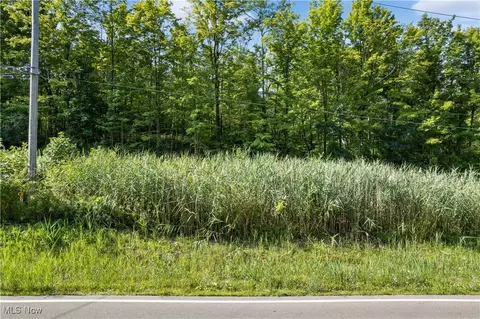 Sleepy Hollow Road, Brunswick, OH 44212