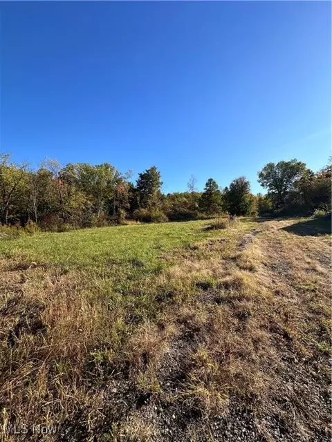 7247 Clay St, Thompson, OH 44086