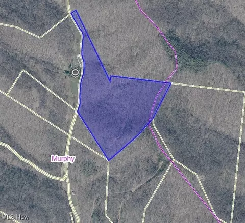 0 Smiths Run Rd, Harrisville, WV 26362