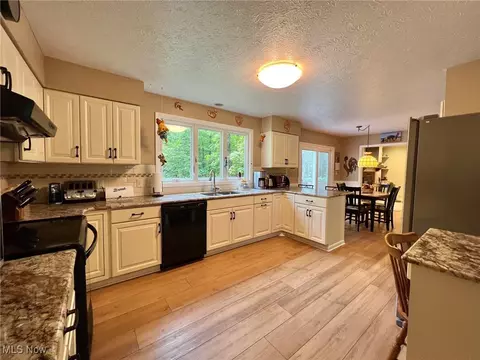 10375 Pinegate Dr, Chardon, OH 44024 photo 13