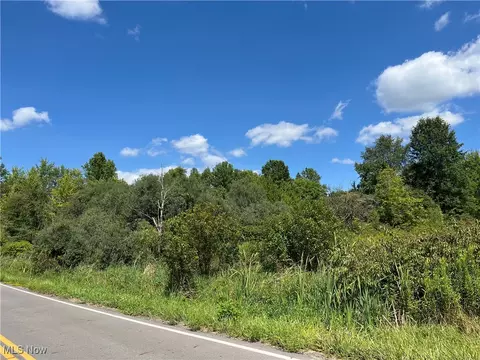 Vl S Newton Falls Road, Diamond, OH 44412