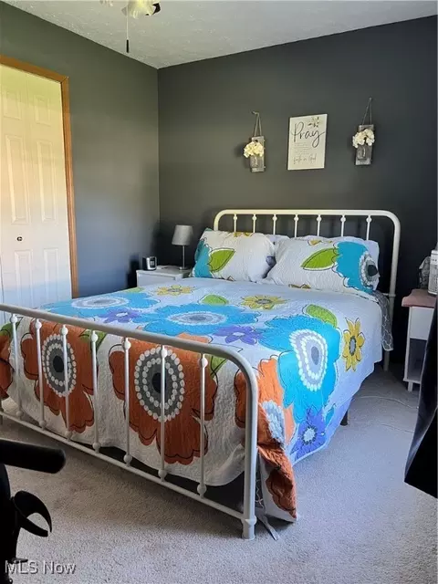 Bedroom - 509 Appleseed Dr, Lorain, OH 44053 photo 3 of 3